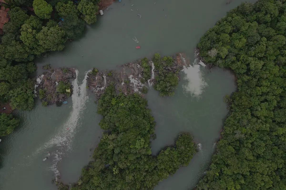 Dandeli jungle homestay surrounded by lush green forest